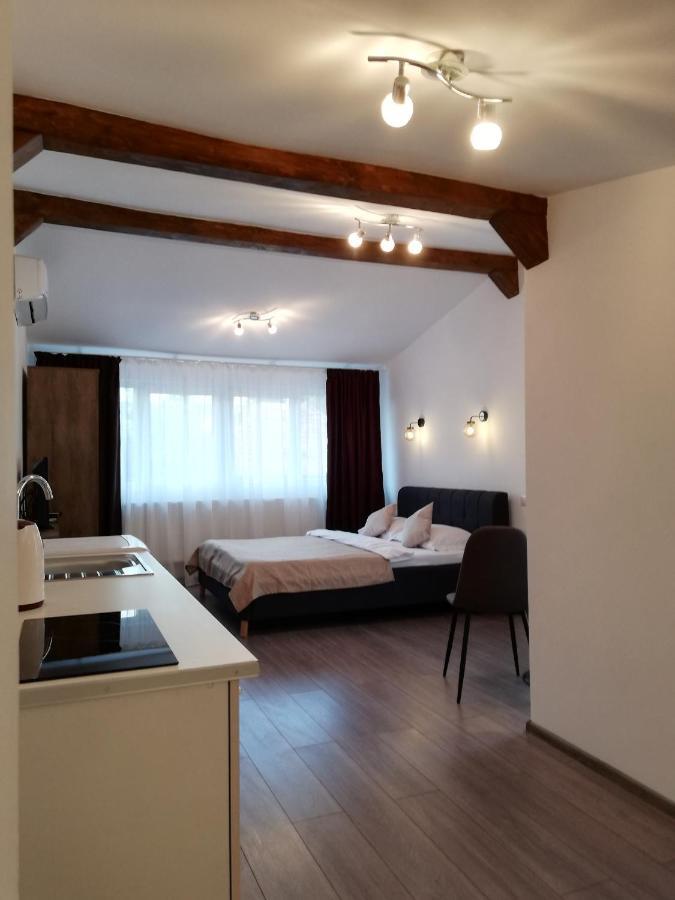 Cara Studio Cu Parcare - Cluj-Napoca Zona Republicii Экстерьер фото